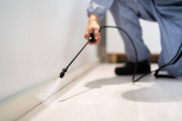 Licensed Pest Control service in Camino Tassajara, CA - Show Me Pest Control