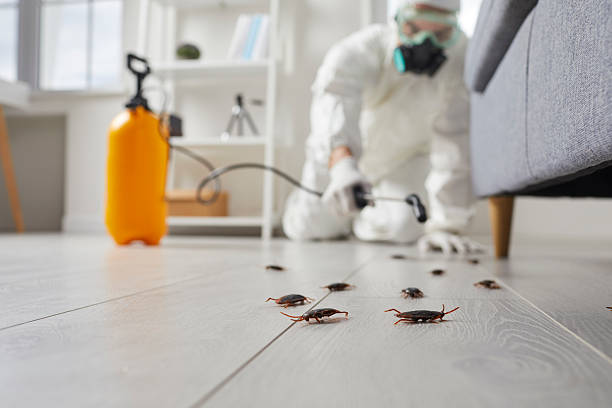 Commercial Kitchen Cockroach Control in Camino Tassajara